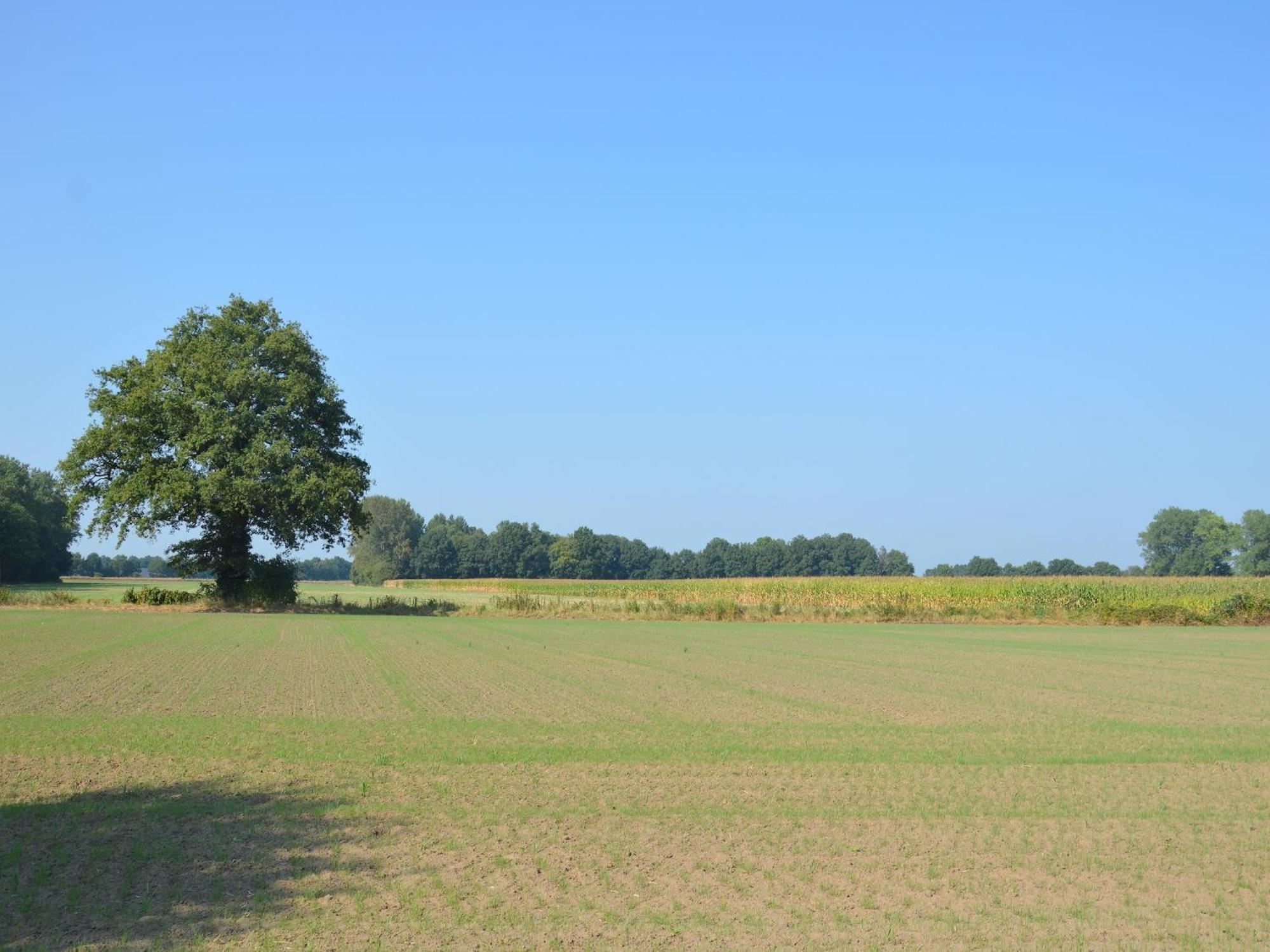 Authentic Holiday Home With View Geesteren  외부 사진